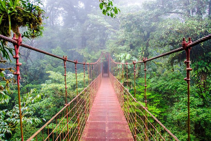 15 Days Beaches and Nature with Santa Teresa, Self-drive from Liberia - Photo 1 of 8